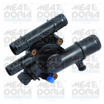 Thermostat, coolant
